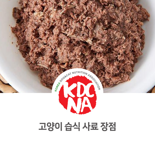  [집사가 알아야할 필수 정보] 고양이 영양편 습식 사료를 먹어야 하는 이유_33