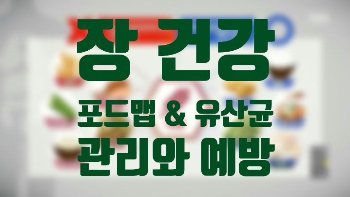  장 건강 바로 알기 2탄/ 과민성 대장 증후군 예방과 유산균