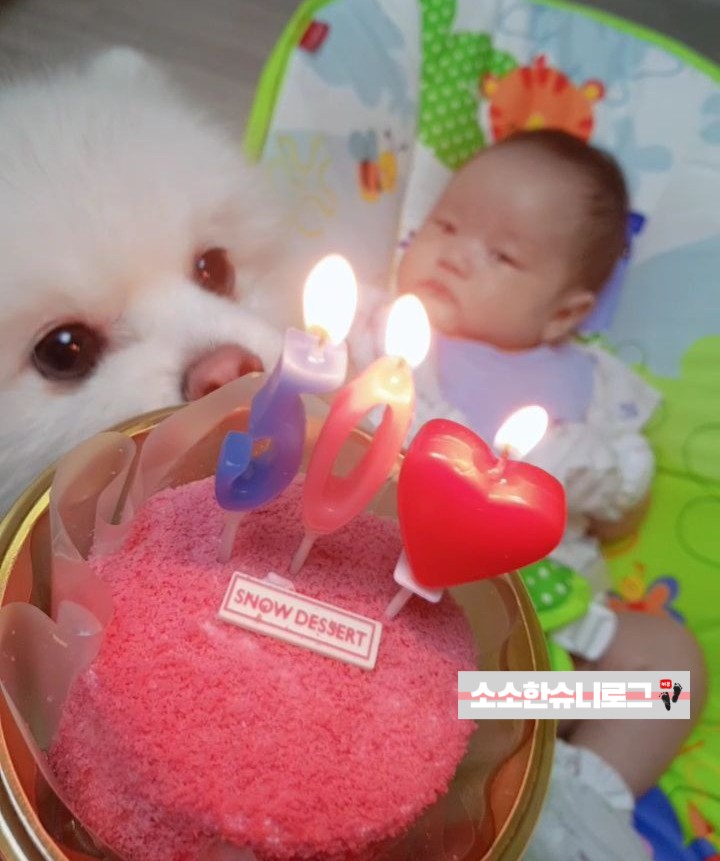  생후41일~생후50일, 슈니 자람