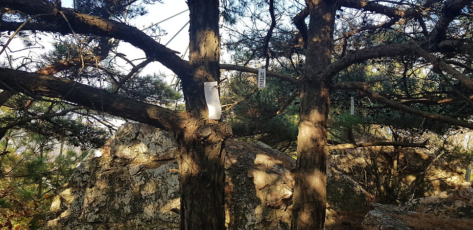 황새바위산 사진 4