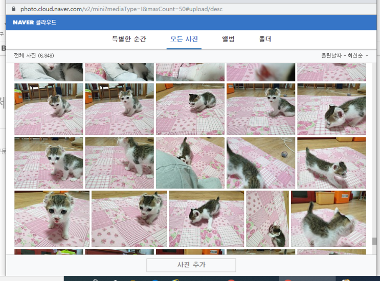  네이버 블로그 사진 검색···이런 기능이 있으면 좋겠다