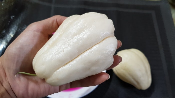 차요테씨앗과 종자 그리고 백차요테 : 네이버 블로그