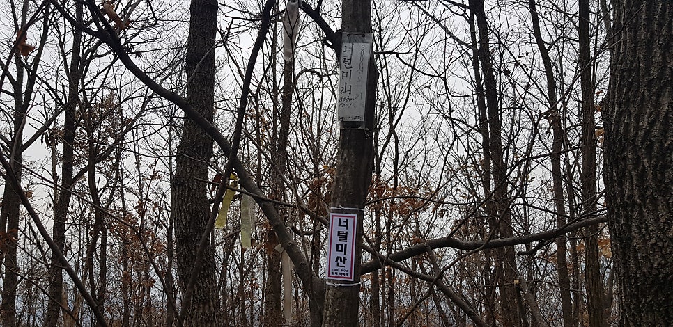 민등산 사진 6