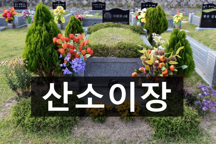  산소이장 하시려면 이렇게 준비 하세요.