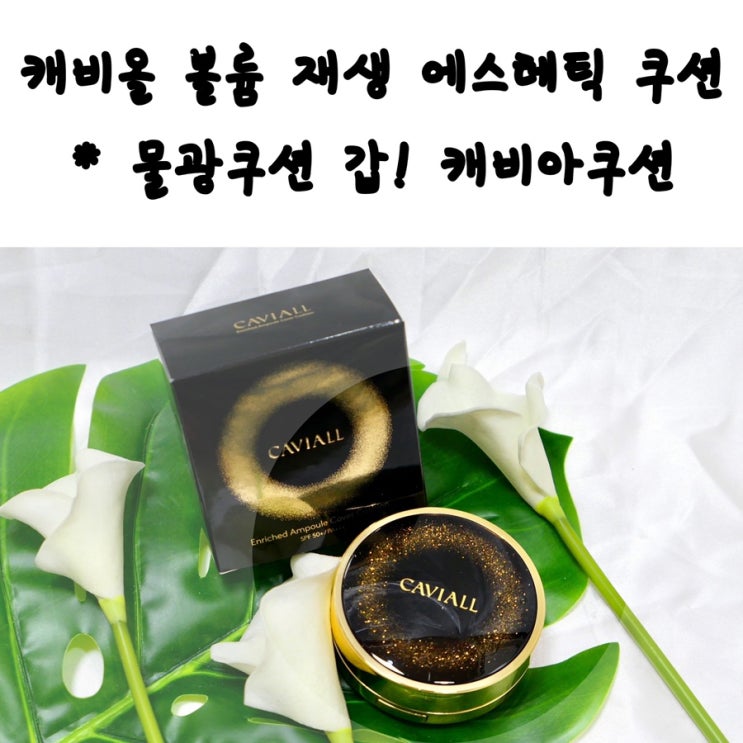  캐비올 볼륨 재생 에스테틱 쿠션!물광혁명 캐비아 쿠션