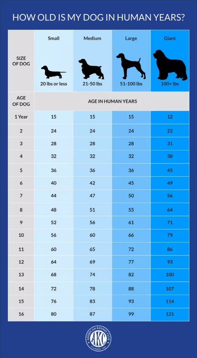  [개봉투] 봉투를 보내며. 04