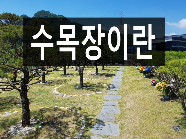  수목장이란 무엇인지 바르게 알고 준비하세요