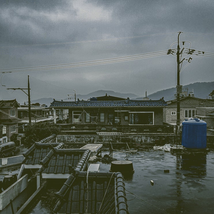 오늘의 사진 : '비오는날'