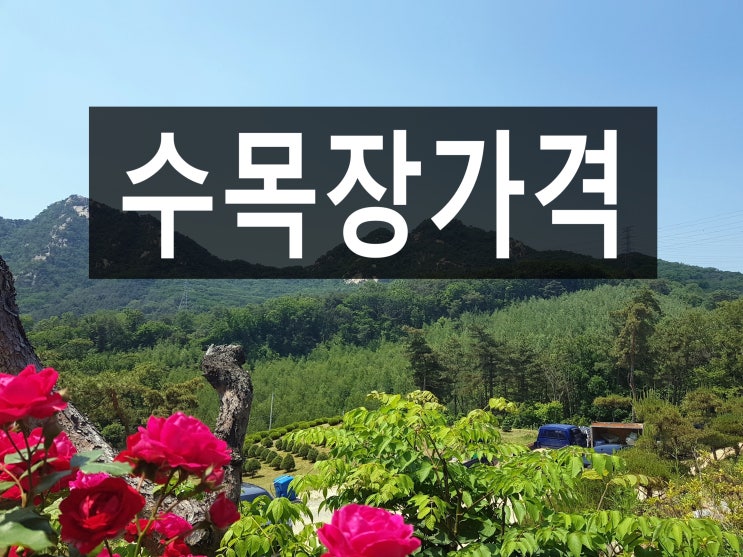  수목장 가격 좋은 이곳을 추천합니다.