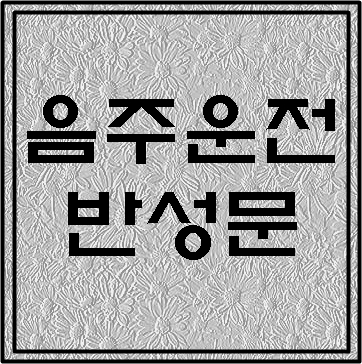  음주운전 반성문 대필 절차 (민원서류 작성 전문 행정사)