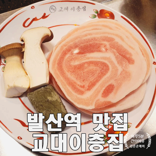  [발산역 맛집] 고깃집. 교대 이층집에 꽃삼겹 먹으러 가요