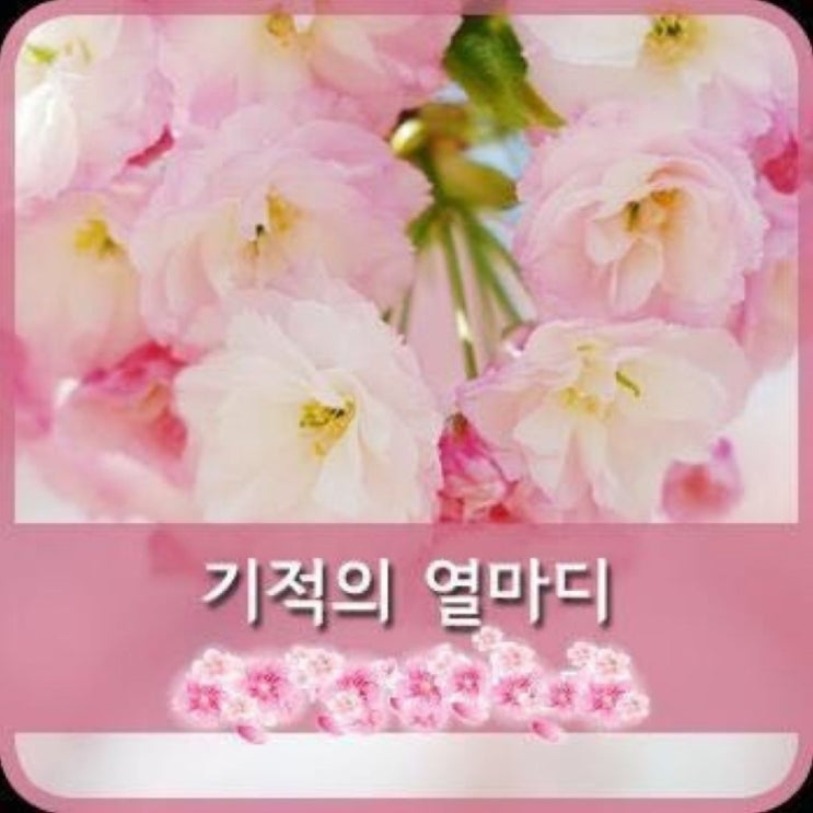  [좋은 말귀]기적을 부르는 좋은 말귀