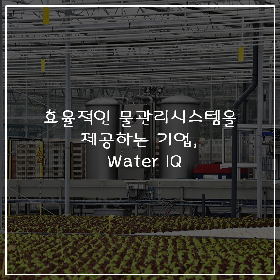효율적인 물관리시스템을 제공하는 기업, Water IQ