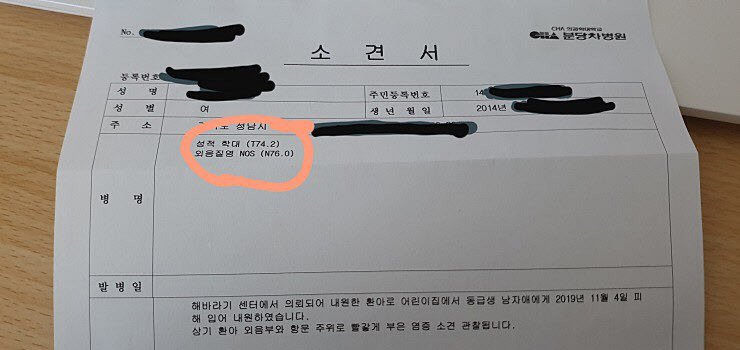  성남 어린이집 성폭행사건