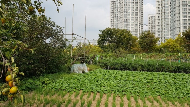  토지수용, 토지보상 관련, 잦은 질문과 답변입니다
