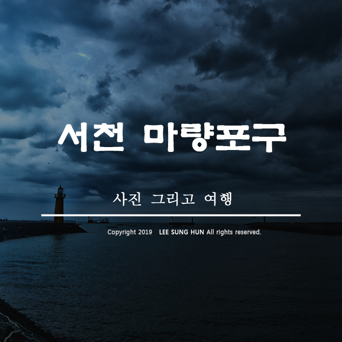 서천 마량포구 이맛에 새벽에 꾸역꾸역 나와요.