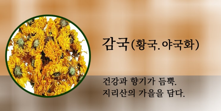  감국(국화.황국.야국화)의 효능