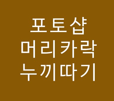 포토샵 누끼따기 배우기 머리카락 따보자