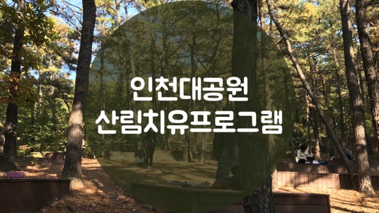  [인천대공원 숲체험]인천대공원 산림치유 프로그램 숲체험 후기