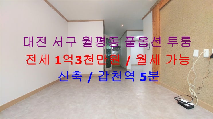  대전 서구 월평동 신축 풀옵션 거실큰 투룸 !! 갑천역 도보 5분 거리에 있는 역세권 풀옵션 투룸 전세 , 월세 모두 가능한 매물입니다 ^^
