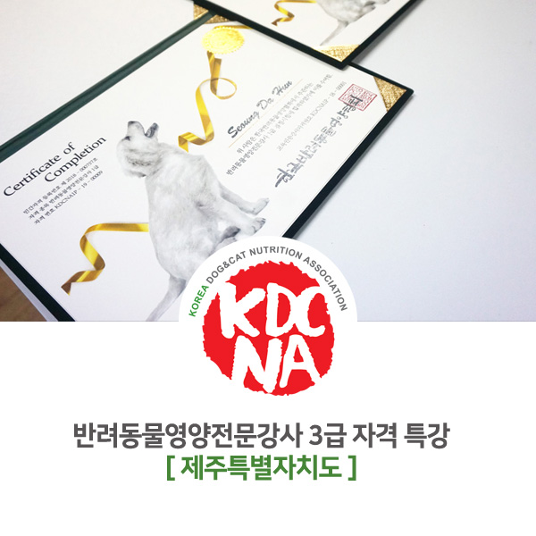 [반려동물영양전문강사 특강] 한국반려동물영양협회 자격 교육 제주특별시 모집