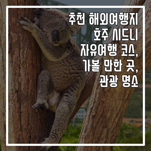 추천 해외여행지 호주 시드니 자유여행 코스, 가볼 만한 곳, 명소