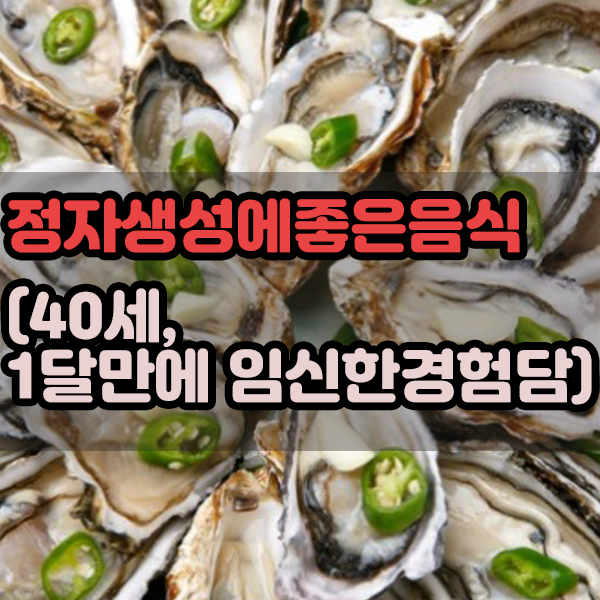  정자생성에 좋은음식 (40세가 1달만에 임신시킨 경험담)