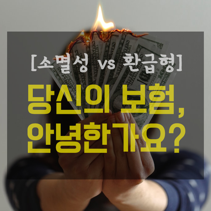  당신의 보험은 안녕한가요? (소멸성 vs 종신보험 & 만기환급형)