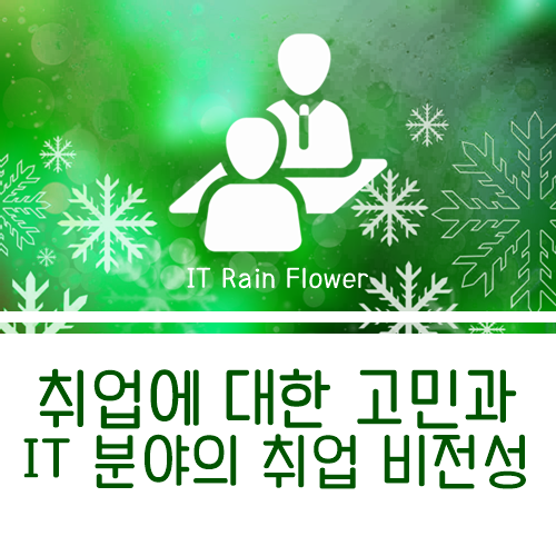  취업에 대한 고민과 IT 분야의 취업 비전성에 대한 이야기