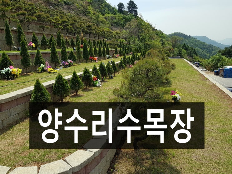  양수리수목장 주변 경관이 아름다워 추천하고 싶은 곳.