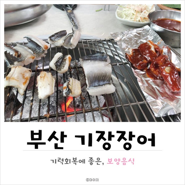  기장 장어구이 맛집 송미횟집에서 몸보신하고 오기