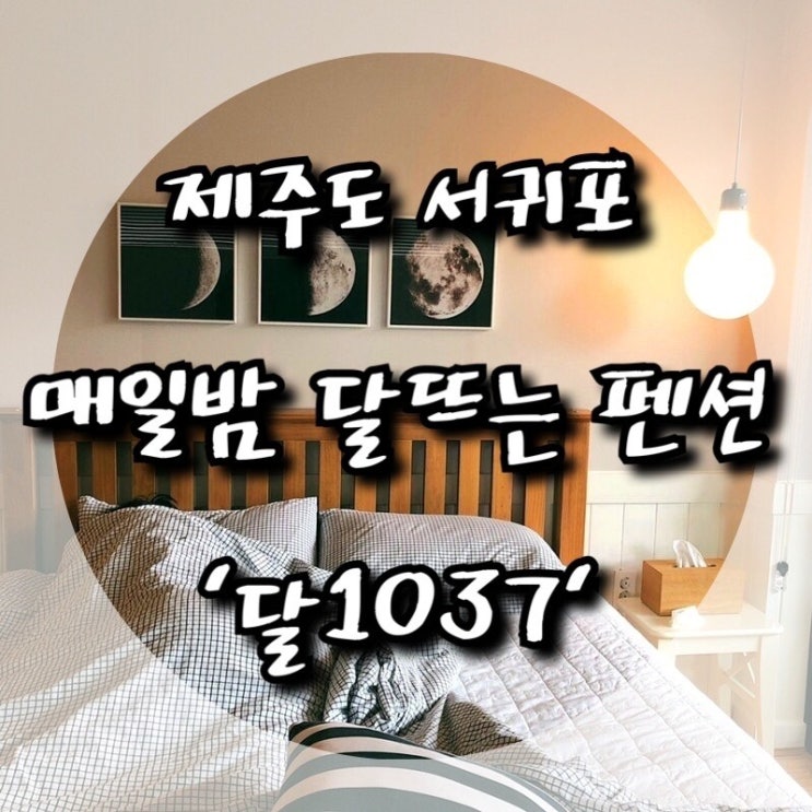  [제주도펜션] 매일밤 보름달 뜨는 제주도 서귀포 독채펜션 '달1037'