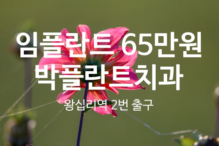  사랑니 충치, 신경치료 한양대치과