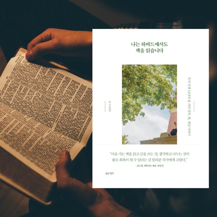  나는 하버드에서도 책을 읽습니다 :: 독서 인생 12년차 윤 지의 공부, 법, 세상이야기