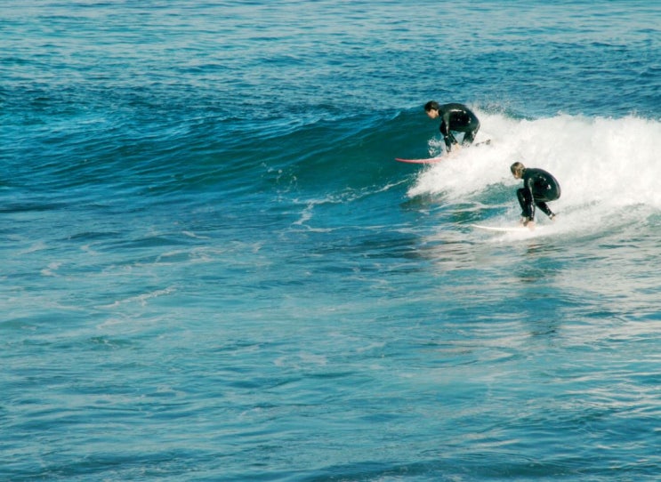  호주영어 즐겁게, 빠르게 배우기 : 서핑(surfing)
