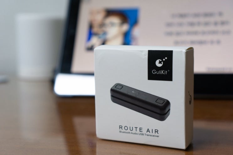 닌텐도 스위치를 블루투스 이어폰으로 즐길 수 있다? Gulikit Route Air 리뷰