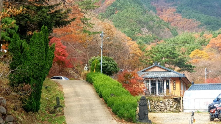  경주황룡골의 황룡사