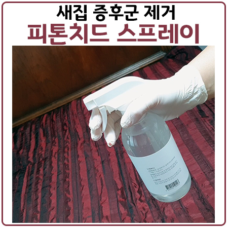 새집증후군 편백수 피톤치드로 99.9% 세균 제거 새집증후군 편백수 피톤치드로 99.9% 세균 제거