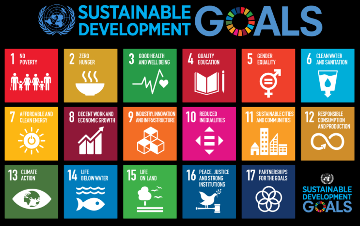 유엔(UN)의 지속가능발전목표(SDG)를 지원하는 핀테크(Fintech)