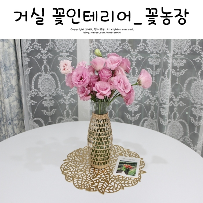 꽃농장 생화택배 거실인테리어 플라워팜팜 농장직송이라 좋아요! 꽃농장 생화택배 거실인테리어 플라워팜팜 농장직송이라 좋아요!