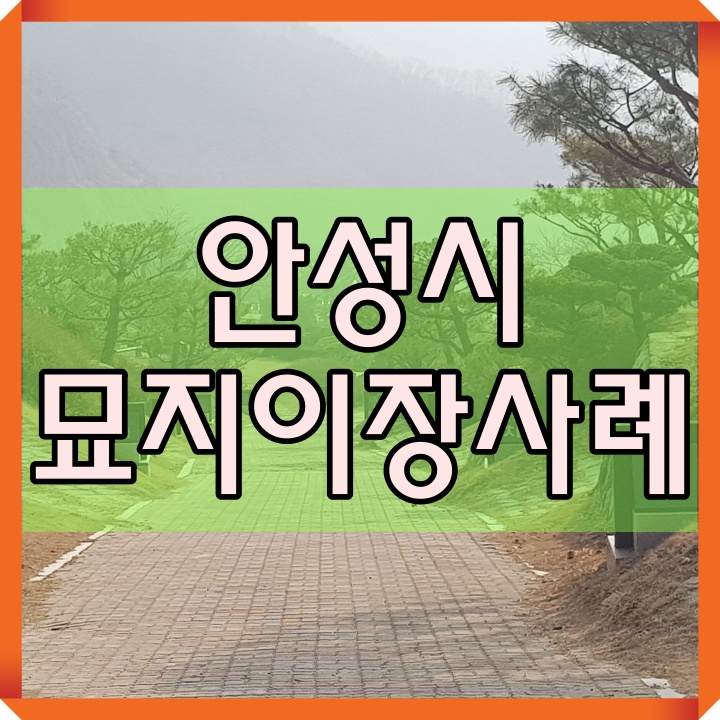  안성시 묘지이장 사례를 통한 묘지이장에 관한 궁금한 사항 알아보기