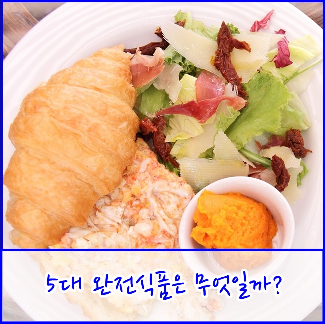  [파주교하어르신유치원] 5대 완전식품은 무엇인지 삼성재활과 알아보아요