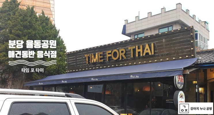  리얼후기) 분당 애견동반 음식점 추천, 율동 공원 타이 음식점 - Time for Thai