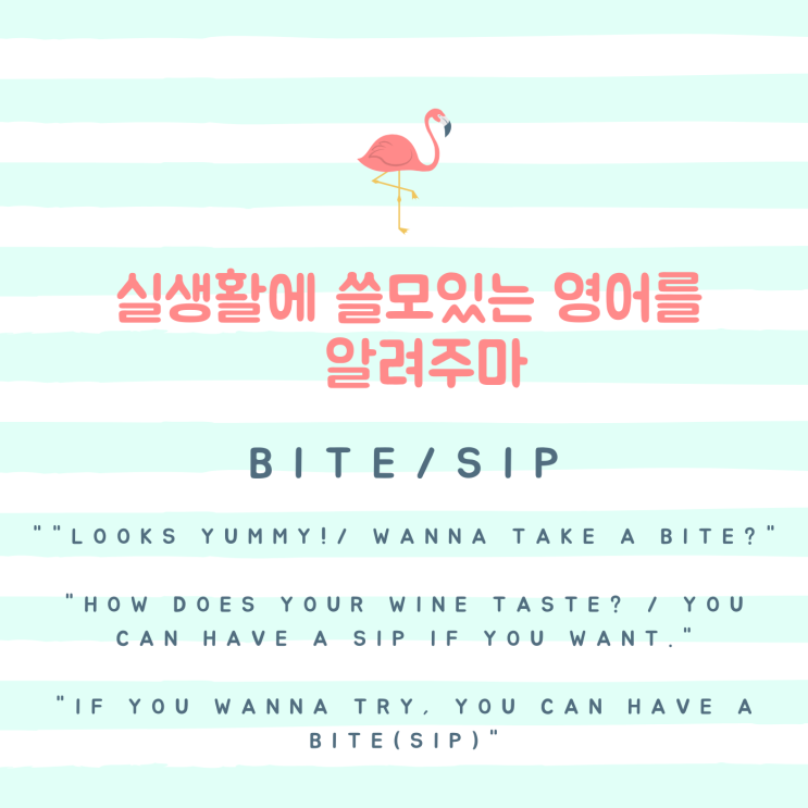 실생활에 쓸모있는 영어: Bite/Sip