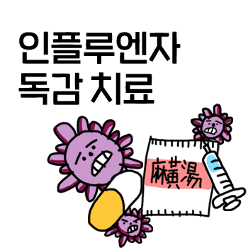 독감약.  독감의 치료와 관리. 마황탕 타미플루의 효과와 부작용