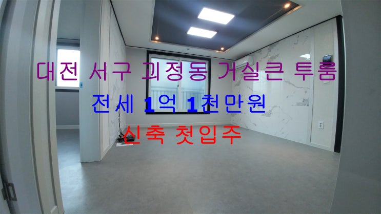  대전 서구 괴정동 신축 첫입주 거실큰 투룸 ! 투룸 저렴한 전세 매물입니다 ^^