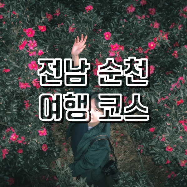  전남 순천 갈만한곳 여행코스(순천만 용산전망대 일몰과 동백꽃, 순천아랫장야시장, 순천곱창골목, 거목전통순대국밥)