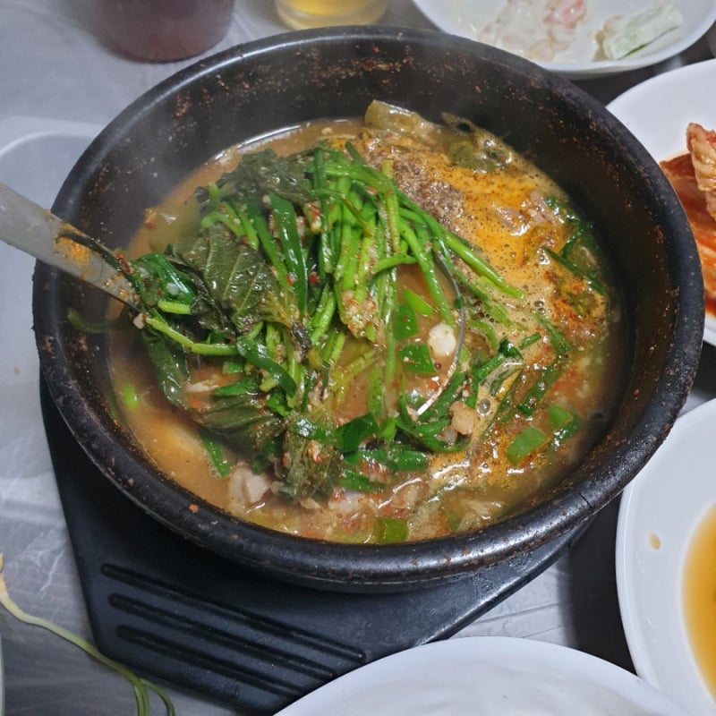 대전 흑염소 맛집 "시골집흑염소" 몸보신 제대로 한 후기