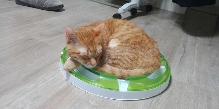  3화 : 최선의 선택이 무엇일까?