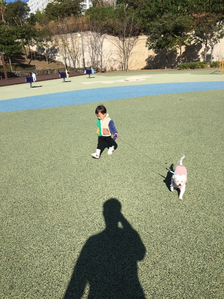  나무아빠의 육아일기(78)